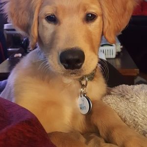 Meet your Posher, Traci